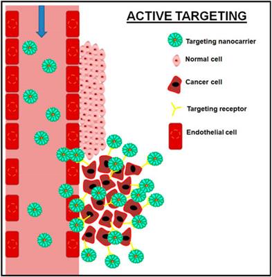 Recent advances in the development of biocompatible nanocarriers and their cancer cell targeting efficiency in photodynamic therapy